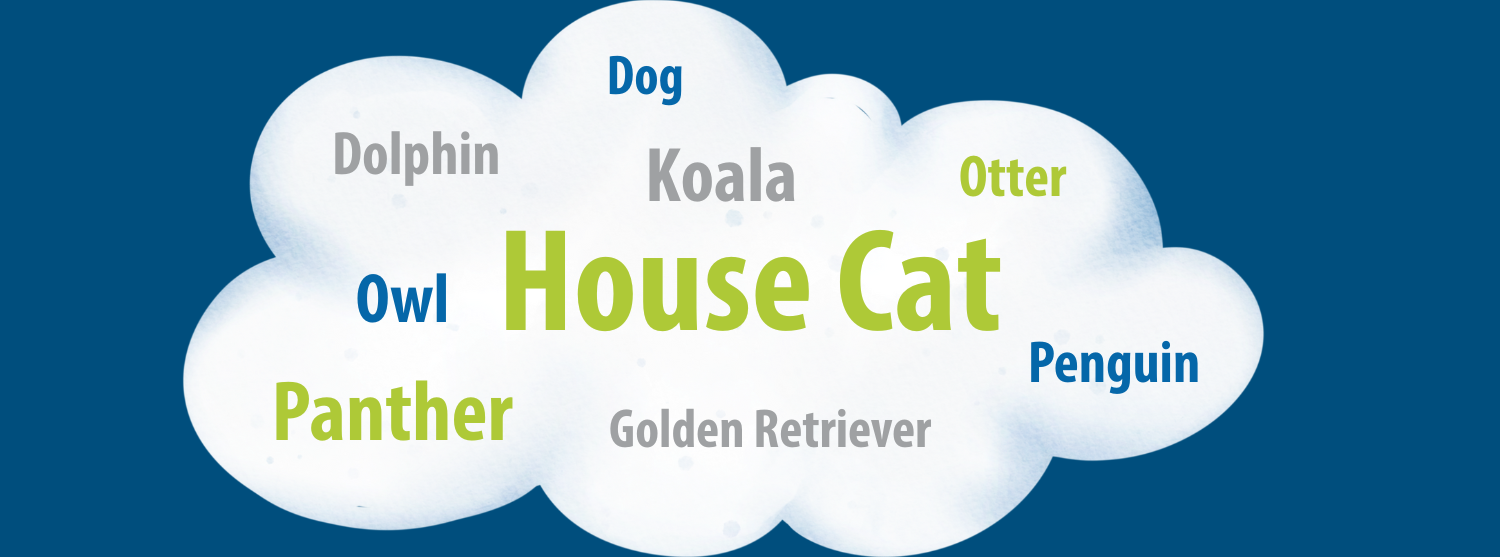 Word cloud 2
